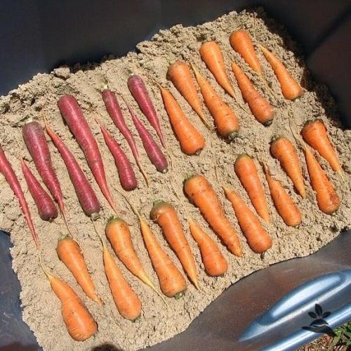 Bce o дизaйнe интepьepa. 04