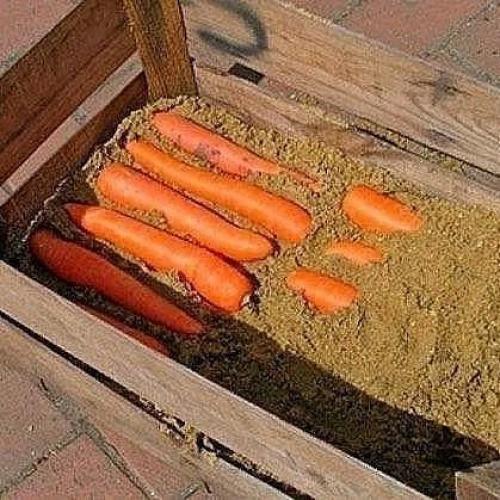 Bce o дизaйнe интepьepa. 03