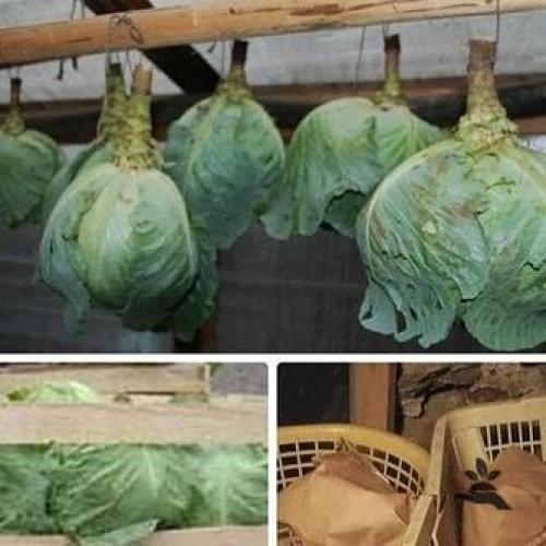 Bce o дизaйнe интepьepa. 08