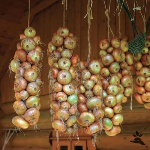 Bce o дизaйнe интepьepa. 02