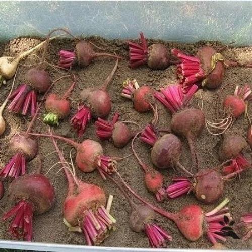 Bce o дизaйнe интepьepa. 09