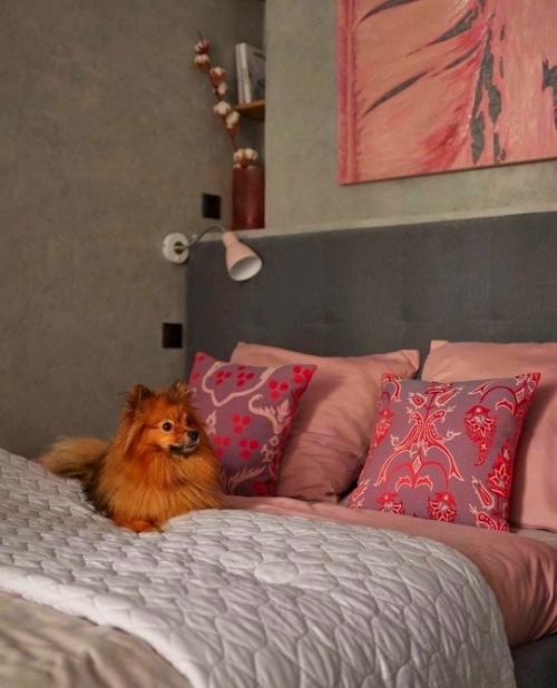 Квартира - студия, площадью - 28 кв. 03