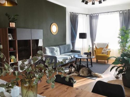 Кухня - гостиная в загородном доме. 04