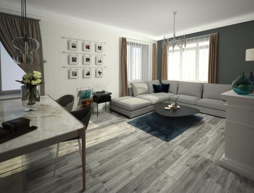 Гостиная, совмещённая с кухней для взрослой семейной пары в стиле американская неоклассика. 03