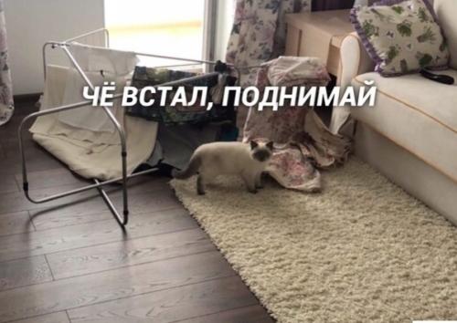 Bce o дизaйнe интepьepa.