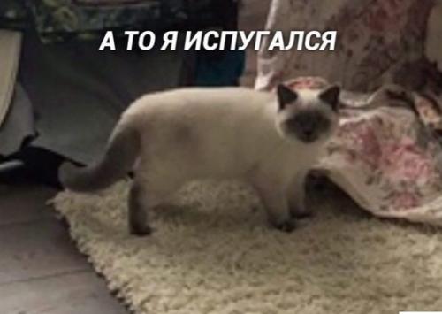 Bce o дизaйнe интepьepa. 02