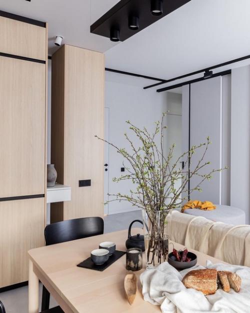 Кухня - гостиная, общей площадью - 23, 7 кв. 03