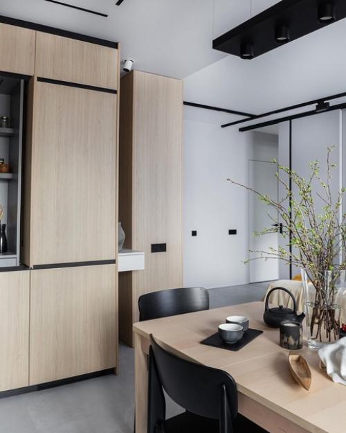 Кухня - гостиная, общей площадью - 23, 7 кв. 07