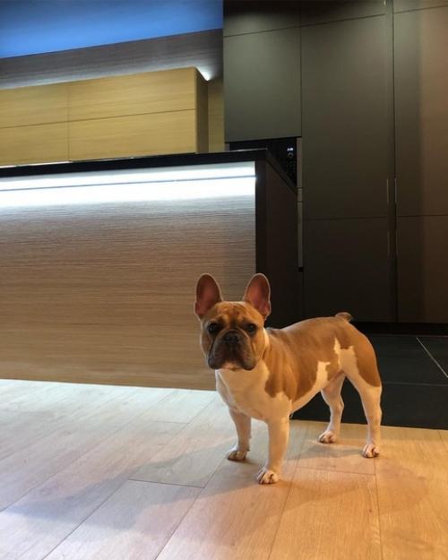 Как интересно обыгран остров. 01