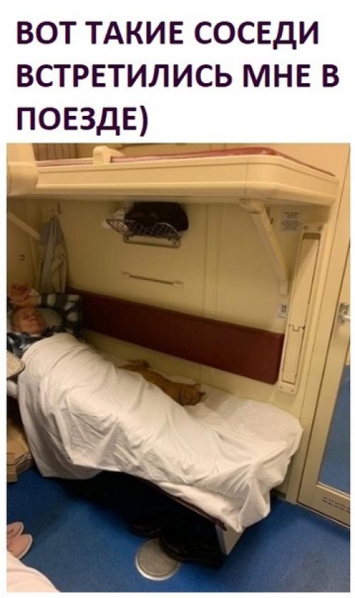 Пушистики - это маленькая радость.