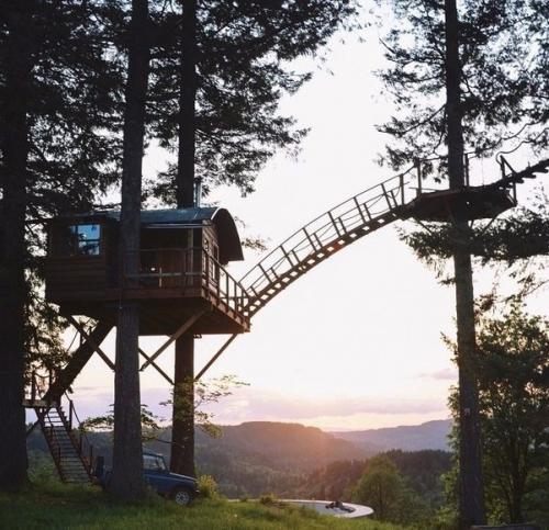 Вот бы у всех мечты сбывались. 06