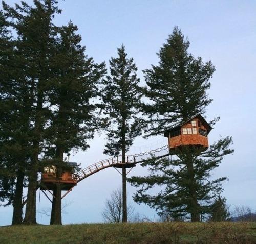 Вот бы у всех мечты сбывались. 07