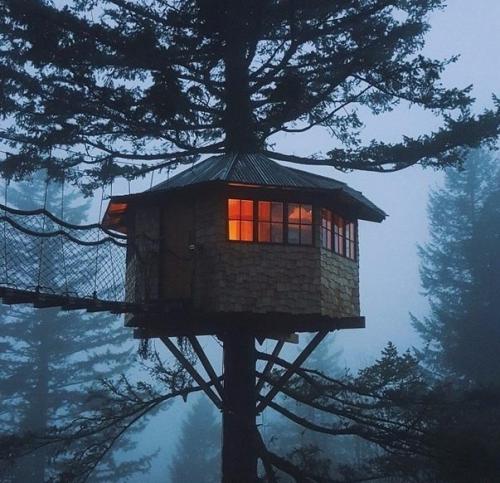 Вот бы у всех мечты сбывались. 02