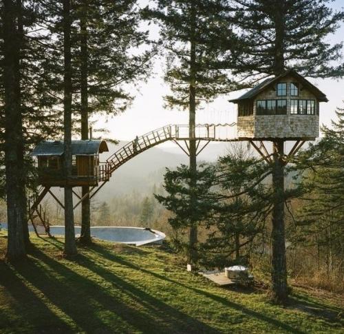 Вот бы у всех мечты сбывались. 04