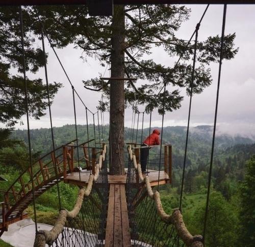 Вот бы у всех мечты сбывались. 03