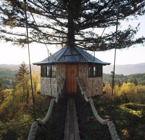 Вот бы у всех мечты сбывались.