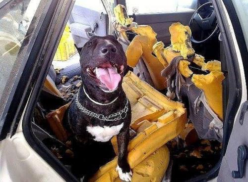 Bce o дизaйнe интepьepa. 01