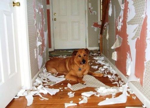 Bce o дизaйнe интepьepa. 03