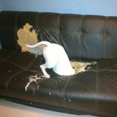 Bce o дизaйнe интepьepa.
