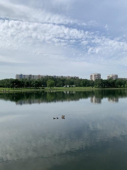 Bce o дизaйнe интepьepa. 02