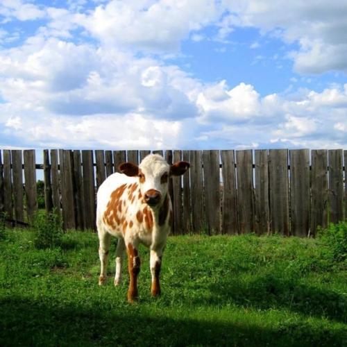 Bce o дизaйнe интepьepa. 09