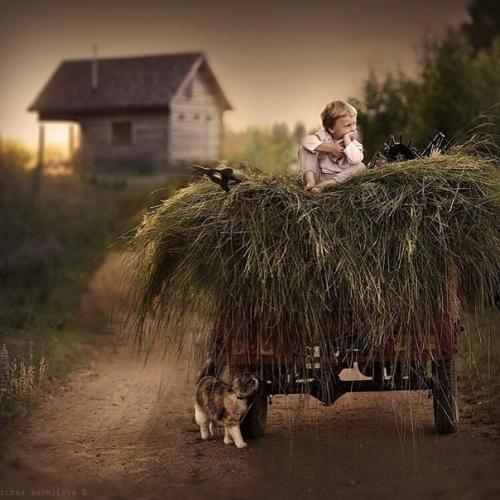 Bce o дизaйнe интepьepa. 07