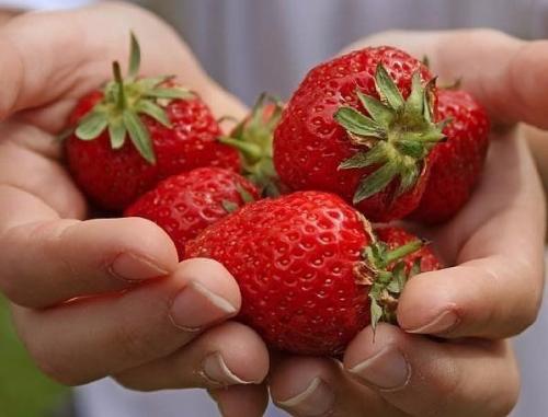 Bce o дизaйнe интepьepa. 02