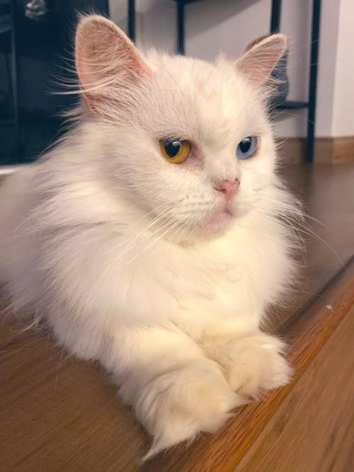 Bce o дизaйнe интepьepa. 01