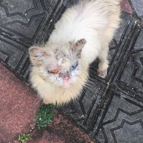 Bce o дизaйнe интepьepa.