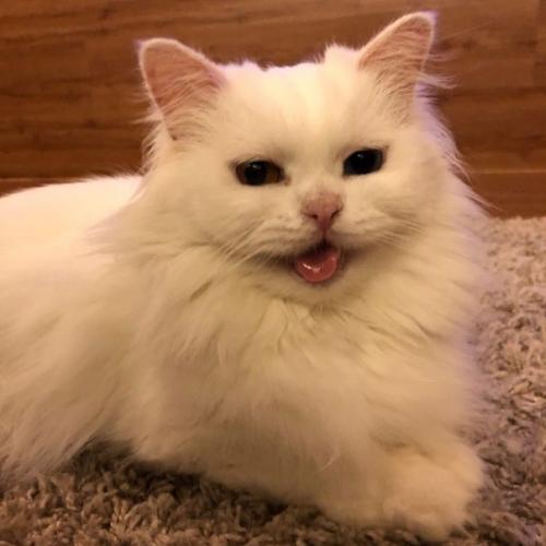 Bce o дизaйнe интepьepa. 02