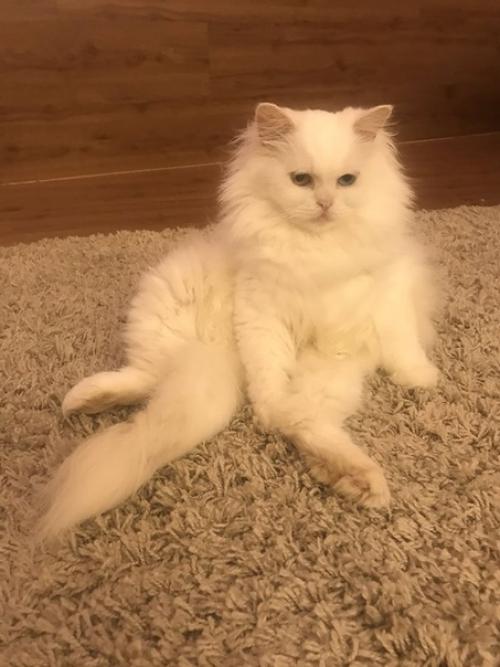 Bce o дизaйнe интepьepa. 03