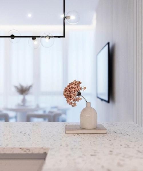 Кухня - гостиная, площадью - 23 кв. 08