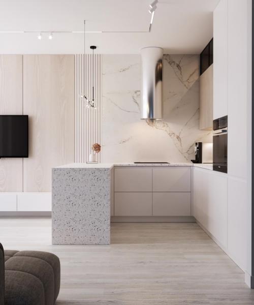 Кухня - гостиная, площадью - 23 кв. 01