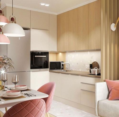 Проект кухни - гостиной площадью 14 м 2. 01