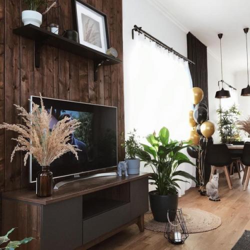 Кухня - гостиная в загородном доме и площадью - 38 кв. 06