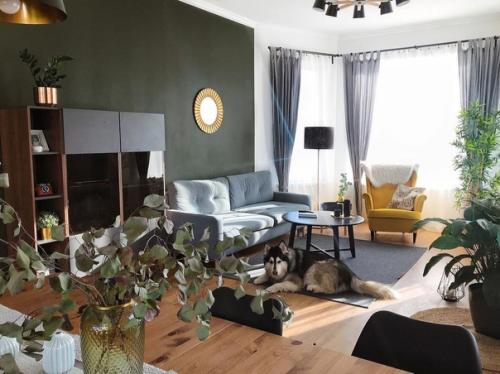 Кухня - гостиная в загородном доме и площадью - 38 кв. 03