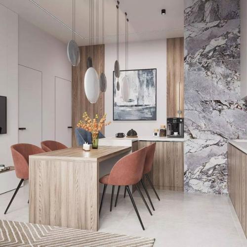 Кухня - гостиная площадью 21 кв. 03