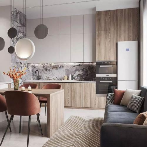 Кухня - гостиная площадью 21 кв. 01