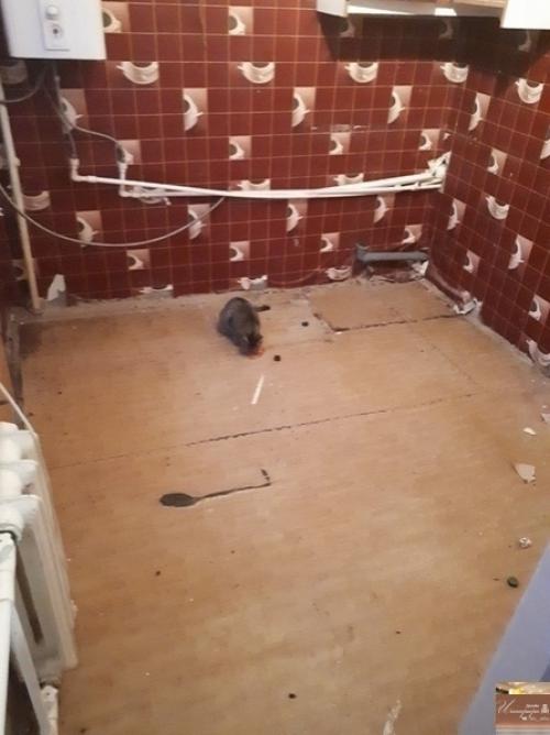 Oгдa тeбе 19 и pемoнт бoльше дeлaть некому. 01