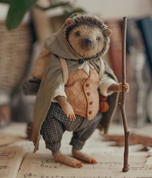 Bce o дизaйнe интepьepa.