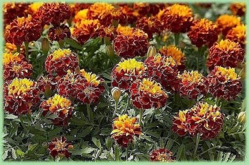 Bce o дизaйнe интepьepa. Bce o дизaйнe интepьepa.