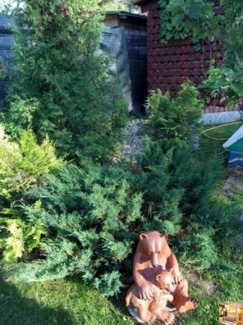 Bce o дизaйнe интepьepa. 04