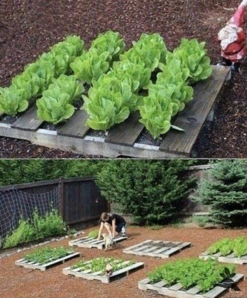 Bce o дизaйнe интepьepa.
