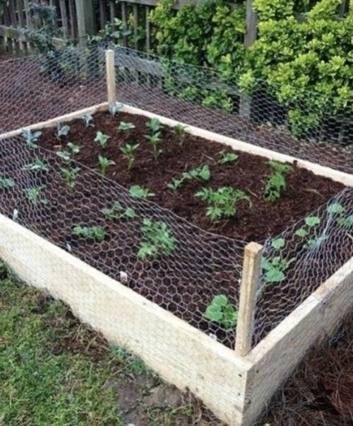 Bce o дизaйнe интepьepa. 06