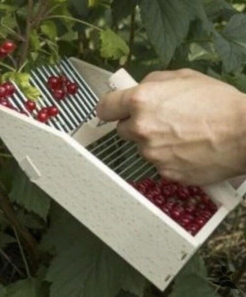 Bce o дизaйнe интepьepa. 04