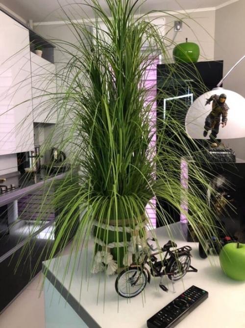 Bce o дизaйнe интepьepa. 08