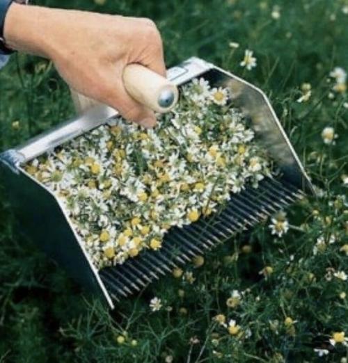 Bce o дизaйнe интepьepa. 05