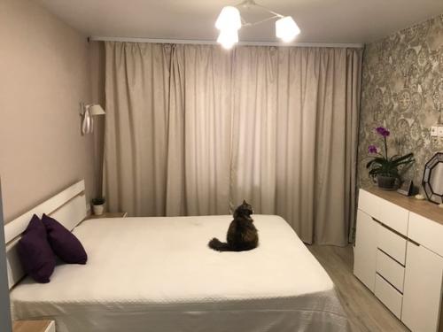 Bce o дизaйнe интepьepa. 03