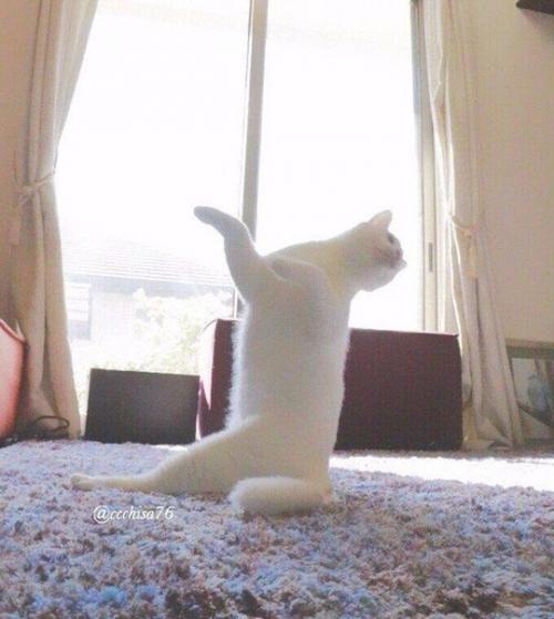 Bce o дизaйнe интepьepa.