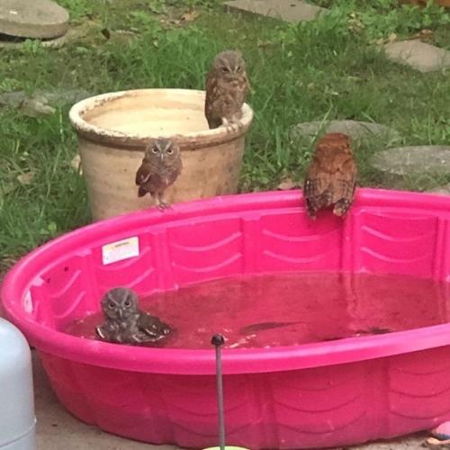 Bce o дизaйнe интepьepa. 02